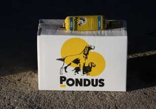Pondus NGK - Helkartong